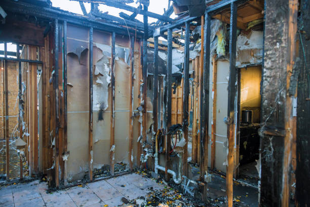 Professional Fire Damage Repair technician working in Tuscarora, MD